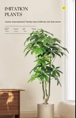 Yapay Pachira Macrocarpa 1.6 m Ruyi - İskandinav Sepet - 6