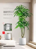 Yapay Pachira Macrocarpa 1.6 m Ruyi - İskandinav Sepet - 2