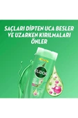 Elidor Şampuan Argan yağı&Biotin 400 ml - 1