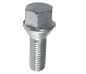 BİJON CIVATASI KROMAJLI MGN-KNG-CLIO YM - 1