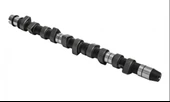 EKSANTRİK MİLİ EMME P5008 I-II 2.0HDI 136-BlueHDi 12 P508 II 2.0 BlueHDI 160 FHEHYR 18 JUMPER 15-18 -DS4 11-15 -C4 II 09 C5 III 09 S-MAX 15-18 -MONDEO V 14 GALAXY II 15-18 2.0TDCI - 1