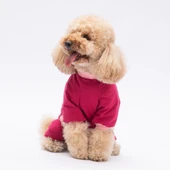 PawStar Go Teddy Bear Pijama Tulum - 2