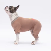 PawStar Happy Teddy Bear Pijama Tulum - 3