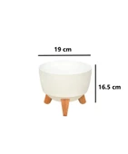 Omnipazar ELF-494 Dekoratif Ayaklı Nostalji Saksı 2.8 lt thumbnail 12