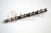 EKSANTRIK MILI FIESTA FUSION 02 08 1.4 TDCI -206-307-C3 C2-C3-XSARAII-NEMO-107-206-307 -BIPPER 1.4 HDI DV4 CELIK - 1