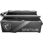 MSI Spatium M580 FROZR Soğutuculu 2TB PCIe 5. M.2 - 4
