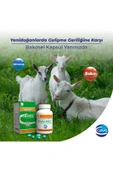 Bakosel Sığır Ve Koyunlar Için Tamamlayıcı Yem 50 Kapsül - 5