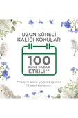 Air Wick Temizliğin Esintisi Oda Kokusu Yedek 19 ml - 6