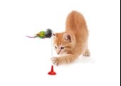 Vantuzlu Kedi Oyuncağı - Fare Yakalama Oyuncağı - 1