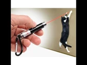 4 Yedek Başlıklı Pilli Kedi Oyuncağı Lazer Anahtarlık - 5