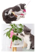 Interaktif Kedi Tüy Oyuncak Değnek Oyuncak Teaser Sevimli Balık Çıngıraklı Oyun Kovalamaca Egzersizi - 2