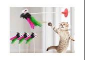 Vantuzlu Kedi Oyuncağı - Fare Yakalama Oyuncağı - 2