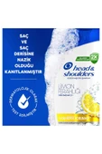 Head & Shoulders  Kepeğe Karşı Etkili Limon Ferahlığı Şampuan 330 ml - 7