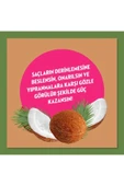 Elidor Hindistan Cevizi Yağı Onarıcı Yıpranma Karşıtı Şampuan 400 ml - 3