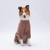 PawStar Happy Teddy Bear Büyük Irk Pijama Tulum thumbnail 2