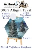 Altıgen Tuval 30 cm 3 Adet Arkadan Zımbalı Astarlı Resim Tuvali Akrilik Boya Yağlı Boya Altıgen Şekil Tuval Ressam Sanat - 3