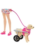 BARBİE VE ENGELLi KÖPEĞİ OYUN SETİ HTK37 thumbnail 4