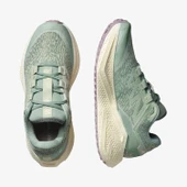 Salomon AERO GLIDE 3 GRVL W Kadın Koşu Ayakkabısı L47812600 - 2