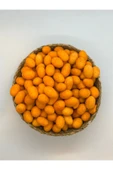KÖKNAR SOSLU CİPS FISTIK 500 GR - 1