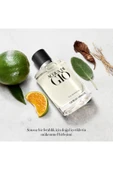 GİORGİO ARMANİ Acqua Di Gio EDP 200 ml Erkek Parfüm 3614273954297 - 2