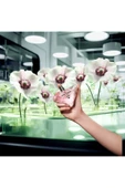 PRADA Paradoxe Virtual Flower EDP 90 ml Kadın Parfüm 3614274000597 - 2