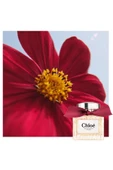 Chloe L' Eau De Parfum Intense Refill Edp 150 ml Kadın Parfüm thumbnail 7