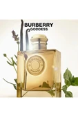Burberry Goddess Intense Edp 100 ml Kadın Parfüm thumbnail 2