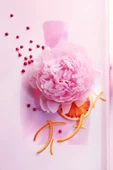 LANCOME Miracle Edp 50 ml Kadın Parfüm 3147758029390 - 4