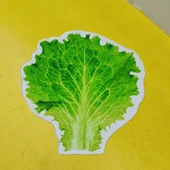 Meyve Desenli Battaniye - Çarkıfelek - Küçük 76cm - 6