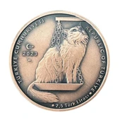 AgaKulche Nasreddin Hoca Bronz Sikke Coin - 2