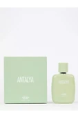 DEFACTO KADIN ODUNSU 50 ML ANTALYA PARFÜM - 3