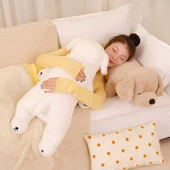 Şifa Veren Kaniş Peluş Oyuncak - Süt Beyazı, 50cm - 5