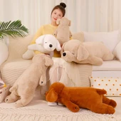 Şifa Veren Kaniş Peluş Oyuncak - Süt Beyazı, 50cm - 2