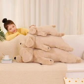 Şifa Veren Kaniş Peluş Oyuncak - Süt Beyazı, 50cm - 4