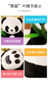 Peluş Panda Oyuncak - Anne ve Yavru Panda - 40cm - 11