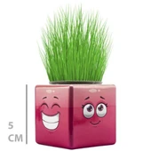 Çim Adam Mini Küp Emoji Figürlü 1 Adet - 1