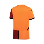 Puma Galatasaray Erkek İç Saha Forması thumbnail 2