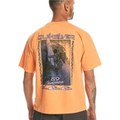 Quiksilver Back Flash Ss Turuncu Erkek T-Shirt thumbnail 4