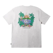 Quiksilver Island Sunrıse Moe Gri Erkek T-Shirt thumbnail 2