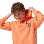 Vans Palm Tree Po Erkek Turuncu Kapüşonlu Sweatshirt thumbnail 5