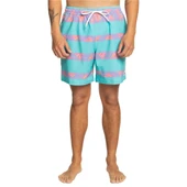 Quiksilver Take Us Back Vl 17 Erkek Mavi Volley Short - 3