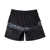 Quiksilver Everyday Wordblock Volley 17 Erkek Siyah Volley Short - 2