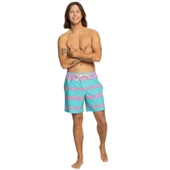 Quiksilver Take Us Back Vl 17 Erkek Mavi Volley Short - 5