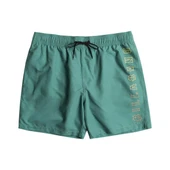 Billabong All Day Heritage Lb Erkek Mavi Volley Short - 1