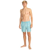 Billabong Vacay Lb Erkek Renkli Volley Short - 6