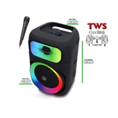 Auris KLN130 25W 8 inç Mikrofonlu RGB Bluetooth Hoparlör thumbnail 4