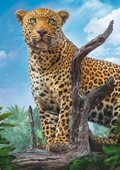 Trefl Puzzle Wild Leopard 500 Parça thumbnail 1