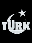 Türk Yazılı Türk Bayrağı Oto Sticker Beyaz 16X14 cm - 1