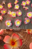 Suled Plumeria Çiçeği Dekoratif Led Işık Ambiyans Ortam Aydınlatması Ve Süsleme Ledleri - 4