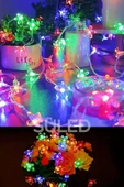 Suled Rgb 5 Metre Gül Led 20 Led 220V Fişli Tak Çalıştır Dekoratif İç Ve Dış Mekan Süsleme Işığı thumbnail 5